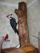 Available for purchase - Piliated woodpecker pair in tree house. Rare item in that both birds are carved entirely by use of pocket knife. circa 2005. $1200